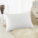 Fun Homes Microfibre Pillow Filler (16x24 inch, White)...