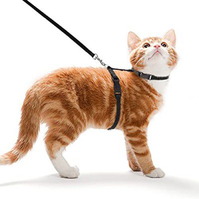 Futurekart Cat Harness Leash Nylon Set for Cat Rabbit Kitten and Small Pet Nylon Harness Strap Collar /Cat Training Leash Lead (Black)