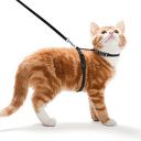 Futurekart Cat Harness Leash Nylon Set for Cat Rabbit Kitten and Small Pet Nylon Harness Strap Collar /Cat Training Leash Lead (Black)...