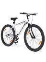 URBAN TERRAIN Galaxy Steel 26T Single Speed Mountain Bike...