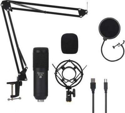 Gamma Audio GA-BM800 Shielded Cable Condenser Microphone With Long Stand,Cable,Shock mount