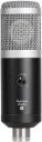 Gamma Audio GA-YR11 Shielded Cable Condenser Microphone With tripod stand and USB cable...