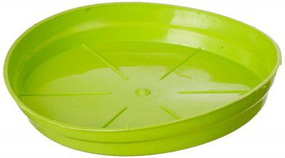 Gardens Need 100% Virgin Plastic Tray -08 No. | Set of 12 Trays 