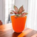 Gardens Need 4Inch(9.6CM) Flower Plastic Pot Plant ...