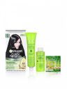 Garnier Color Naturals Creme Hair Color & Coloring Tools - 1 Natural Black 70ml + 60g...