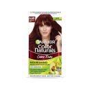 Garnier Color Naturals Crème hair color, Shade 6.60 Intense Red, 70ml + 60g...