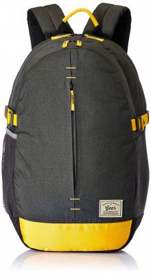 Gear 21 Ltrs Grey Casual Backpack