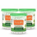 Gescirr Ear Buds Cleaning Buds Wooden Cotton Swabs Eco Friendly Ear Swabs for Removing Ear Wax, Baby Care, Art & Craft etc. 100% Pure Cotton Buds (Pack of 100 Buds Each Box)...