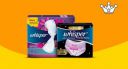 Get Flat Rs 100 Back Min order: Rs 499...