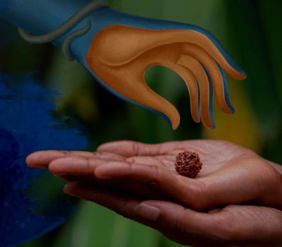 Get Free Rudraksha First Time Registration Only