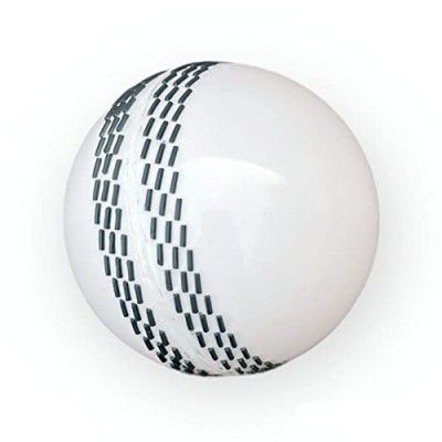 Gmefvr Synthetic Original I20 Wind Cricket Ball 100 Over Play Ball White (Note : This Is Not A Lather Ball) (1)