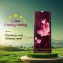 Godrej 185 L Direct Cool Single Door 5 Star Refrigerator (Mystic Wine, RD 195EN TAI MY WN)...