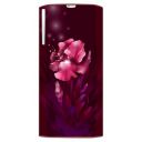 Godrej 192 Litres 5 Star Direct Cool Hygiene+ Inverter Single Door Refrigerator (RD EDGENEO 207E 53 THI AQ WN)...