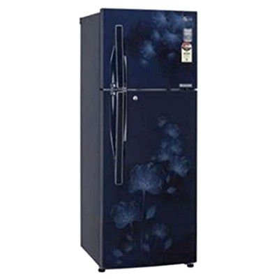 Godrej 260 Litres 2 Star Frost Free Inverter Compressor Double Door Refrigerator (RT EON 275B 25 HI AQ BL)
