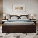 GODREJ INTERIO Bed, Vurv V2 King Size Engineered Wood Bed with Box Storage, 1-Year Warranty, Cola Rain...