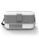 Godrej Portable Insulin Cooler (TEC InsuliCool + 0.5L, Grey)...