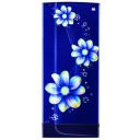 Godrej 185 L 2 Star Direct Cool Single Door Refrigerator (RD EDGE 200B 23 WRF PL PR)...
