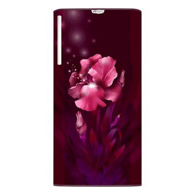 Godrej 192 Litres 4 Star Direct Cool Hygiene+ Inverter Single Door Refrigerator (RD EDGERIO 207D 43 THI AQ WN)