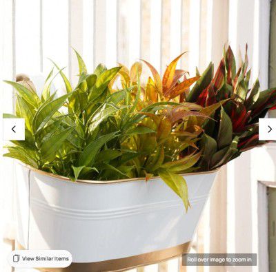 Gold Dust White And Golden Metal Railing Planter