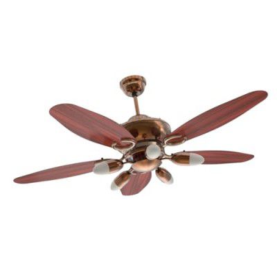Goldmedal Daisy 1200 mm BEE Certified 3 Star Rated Ceiling Fan | Exceptional Airflow 2 years Warranty