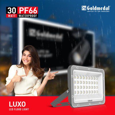 Goldmedal Luxo 30W Outdoor IP66 Waterproof LED Flood Light | Cool Daylight(6500K)-Pack of 1