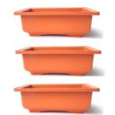 GREEN PARADISE® Bonsai Pots Rectangle 22.90 cm (L) x 16.50cm (W) x 8.30 cm(H) (Terracotta Color) Training Bonsai Trees Succulent Cactus Mini Gardens and adeniums (Pack of 3)...