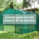 Green Shade Multipurpose NET 90% (Hari Jali) for Balcony, Fencing, Garden, Sun Cover,Fruits & Plants Nursery (10*12 ft)...