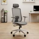 Green Soul Cosmos Premium Office Chair | High Back | Mesh Ergonomic Desk Chair with 3D Adjustable Armrests & 1D Lumbar Support (White & Green)...