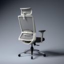 Green Soul Leo | Designed for Broad Shoulders | Ergonomic Office Chair for Work | 3 Year Warranty | White Grey...
