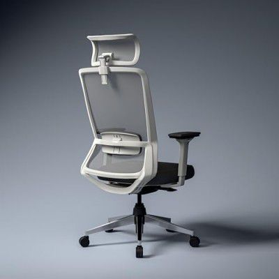 Green Soul Leo Superb | Designed for Broad Shoulders | Ergonomic Office Chair for Work | 5 Year Warranty| Adjustable Lumbar | White Grey