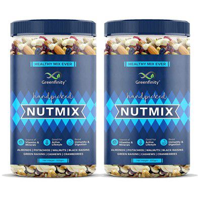 GreenFinity Healthy Dried Nutmix Protein Packed Evening Snacks No Added Sugar Cholesterol Free Healthy Fibre (500gm(Pack of 2))