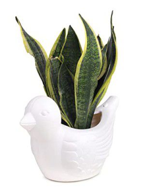 GTB Bird Shape Pot Pot for Home Decor/Decoration White Color