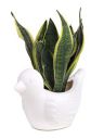 GTB Bird Shape Pot Pot for Home Decor/Decoration White Color...