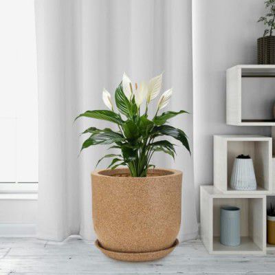GTB JaguarPot 12 INCH German Polymer Marble Texture Indoor/Outdoor Planter/GAMLA/Flower POTS with Trey(Plants NOT Included) (Sand Stone)