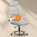 GTPLAYER Hustle Premium Mesh Office Chair, 3 Year Warranty...