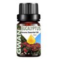 Gwan Aroma Diffuser Oil/Essential oil Natural, Chemicals, Free for Home fragrance/Eucalyptus,10 ml,...