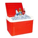 HACER Insulated Chiller Ice box Standard Size Lunch & Cold Drinks Portable Hard Cooler (6 L, Red & White)...