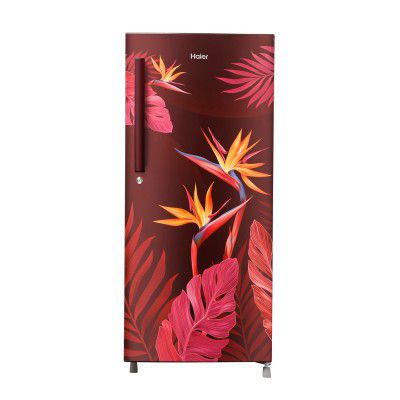 Haier 220 L 3 Star Single Door Direct Cool Refrigerator (HRD-2203CRC)