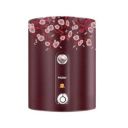 Haier ES10V-color FR 10-Litre Horizontal Water Heater (Floral Red)...