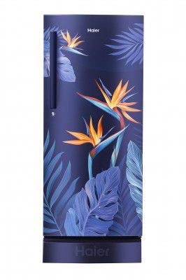 Haier 220L 4 Star with Inverter Direct-Cool Single Door Refrigerator (HED-22FPMF)