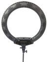 HAKO 18 inch Studio Ring Light 66 for Shoot Videos and Photos Ring Flash...