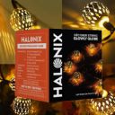 Halonix Decorer Glowly Globe 15 Bright Led String Light | Diwali Light | Christmas Light | Wedding Light | Festive Lights for Home Decoration (Warm White, 4 Meters)...