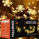 Halonix Decorer Snow Flakes 15 Bright Led String Light | Diwali Light | Christmas Light (Warm White, 4 Meters)...