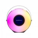 HAPIPOLA Party Star-III Portable Bluetooth Speaker, USB & TF Card Input, AUX Input, 3000mAh Battery, RGB Light, 30W Speaker...