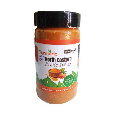 Hari Spices Premium Turmeric Powder, Organic Turmeric Spice for Cooking - 100 gms