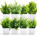 HARSHIV MART Artificial Plants with Pot| Multi Variety | No Maintenance | Durable Plastic| Home Decor | Dimensions: 5 cm X 13 cm (Pack of 8)...