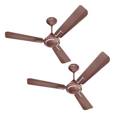 Havells 1200mm Ambrose ES Ceiling Fan 2 Year Warranty by Brand | (Pack of 2, Nickel Pearl Brown)