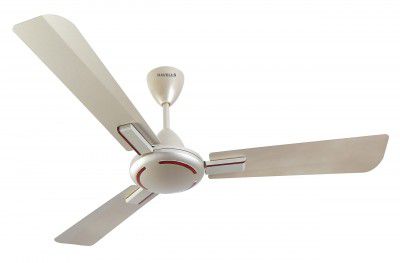 Havells 1200mm Ambrose ES Ceiling Fan | Gold Mist Wood 1 Star