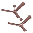 Havells 1200mm Ambrose ES Ceiling Fan | 2 Year Warranty | (Pack of 2, Nickel Pearl Brown)...