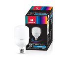 Havells 30W high wattage Bulb | High CRI & High Efficiency | Energy Efficient | Mercury-Free | 4KV Surge Protection | 100 Lumens Per Watt |Cool Day Light (6500K) b22d...
